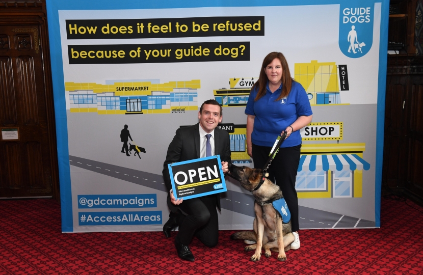 DR Guide Dogs