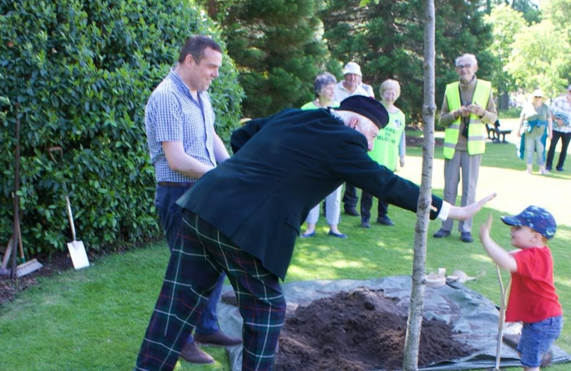 A tree is planted in Grant Park in Forres