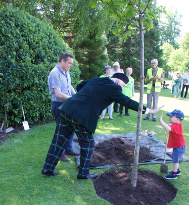 A tree is planted in Grant Park in Forres